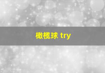 橄榄球 try